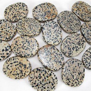Gorgeous Authentic Dalmatian Jasper Palm Stone, Polished, from Chihuahua, Mexico